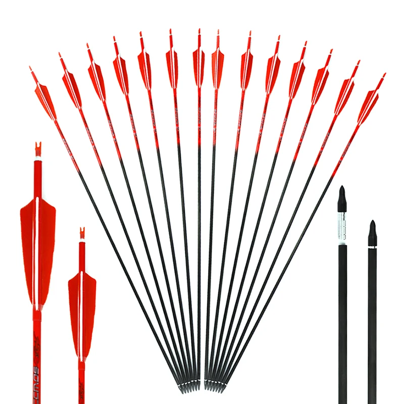 Arrow Carbon Shaft - Set di 6/12/24 Aste per Frecce