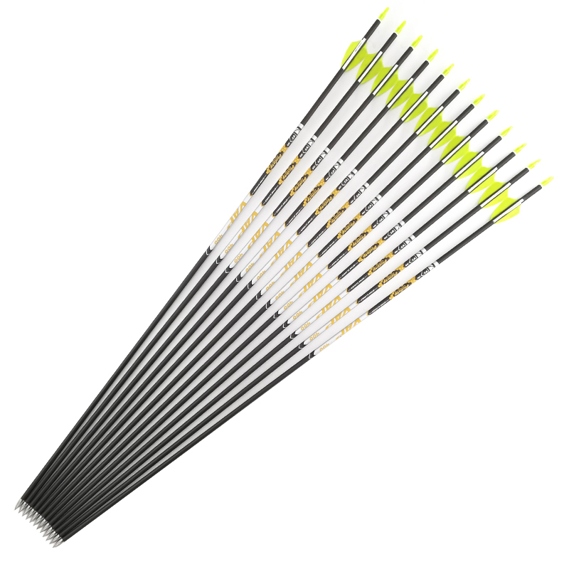 Tiro con l'arco Colonna verteb - Arrow Carbon Shaft recensione e prezzo
